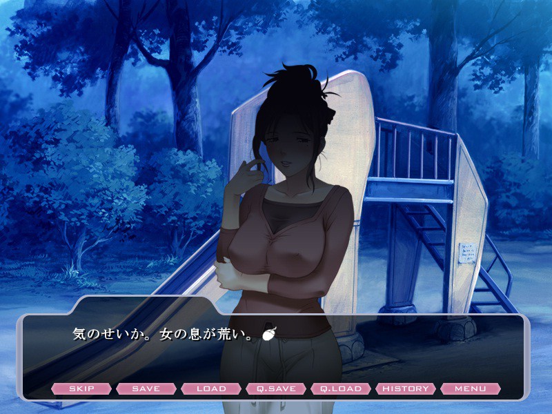 노예 지원 사이트 ~유부녀·쇼코의 기록~