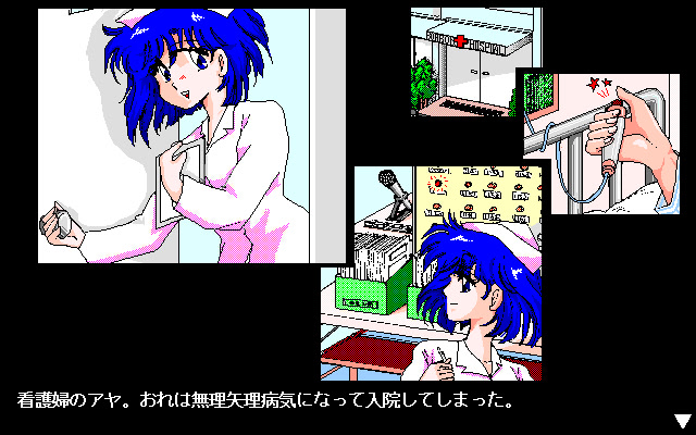 셰이크! 셰이크!