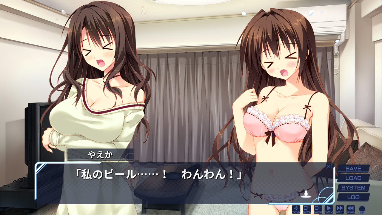 여동생의 세이이키