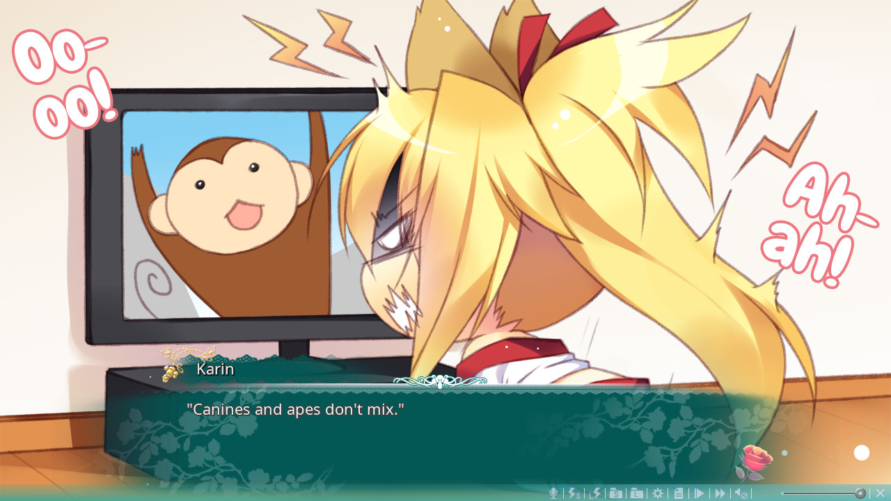 Magical Marriage Lunatics!!