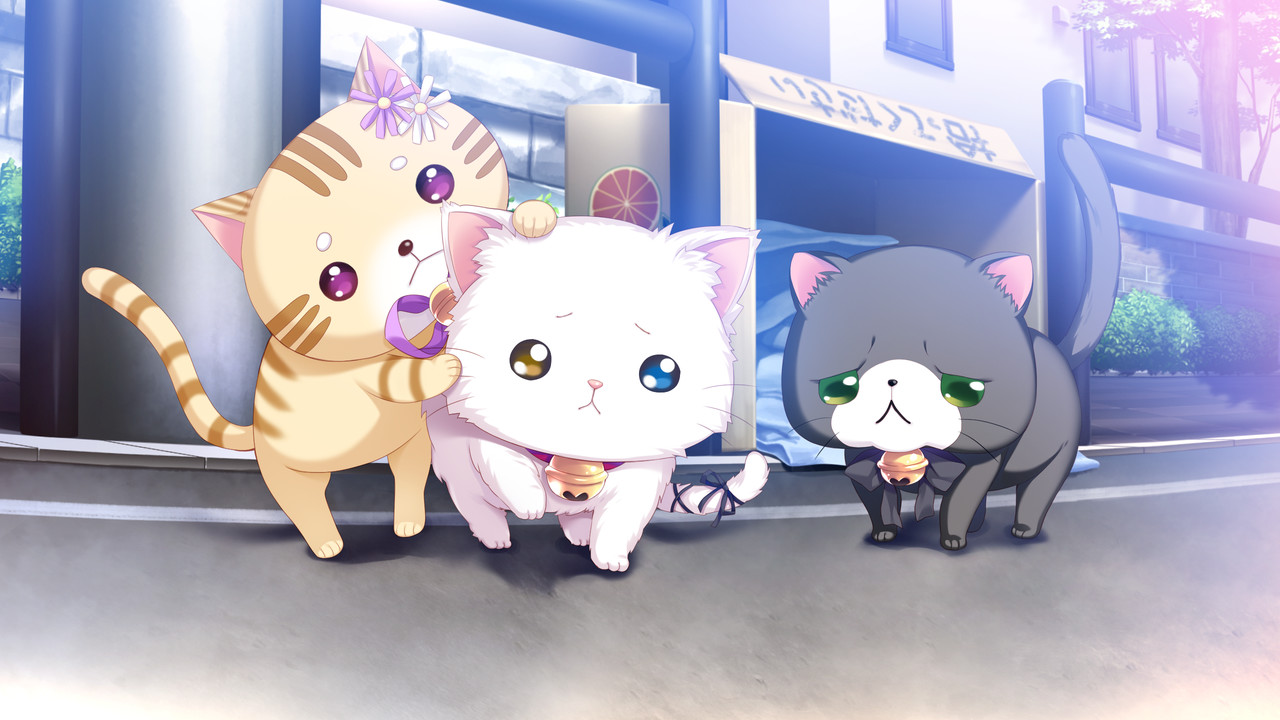 코네코네코네코