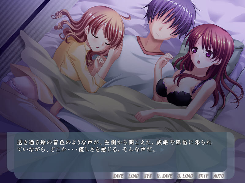 네에・아네 파라다이스 ～나와 누나의 달콤달콤한 생활～