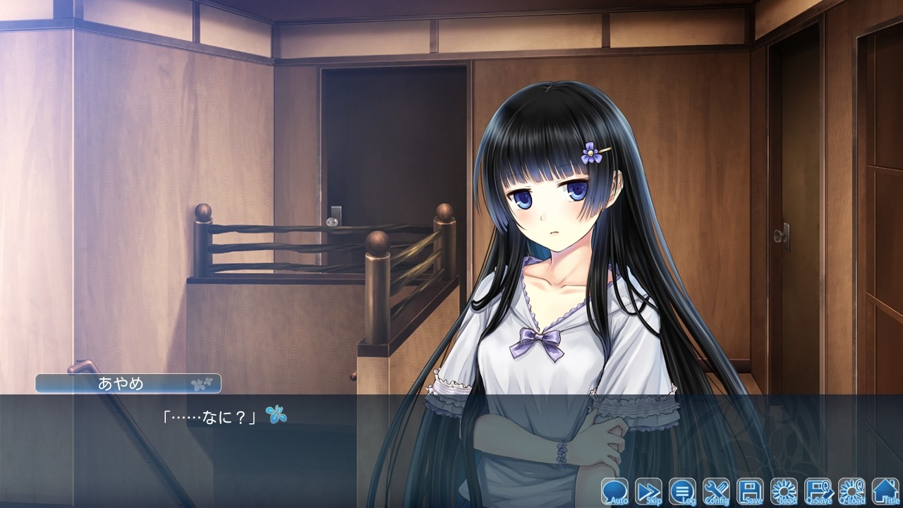 아야메의 마을과 공주님