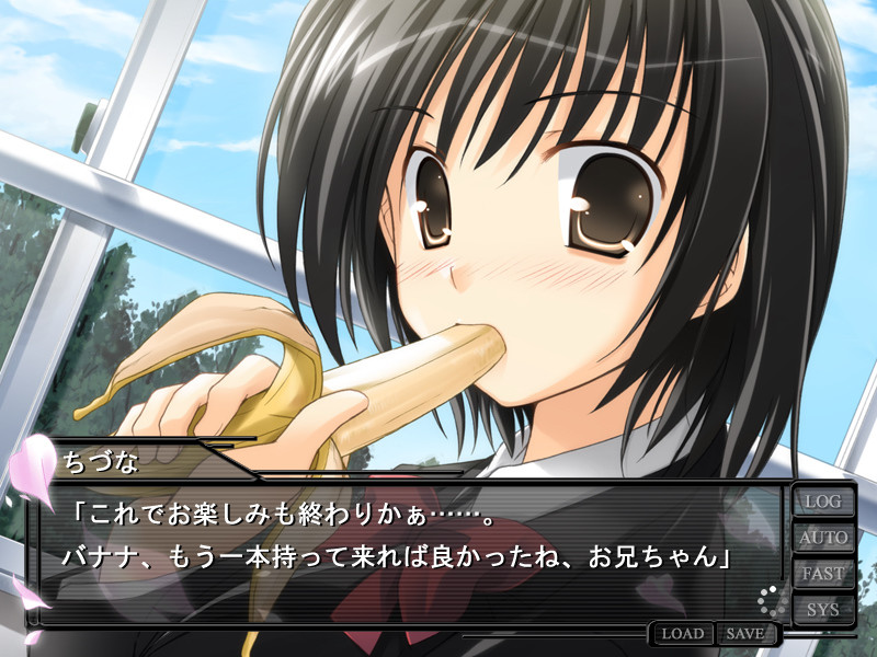 Soeur ～속박받는 사랑, 흩어져 가는 사랑～