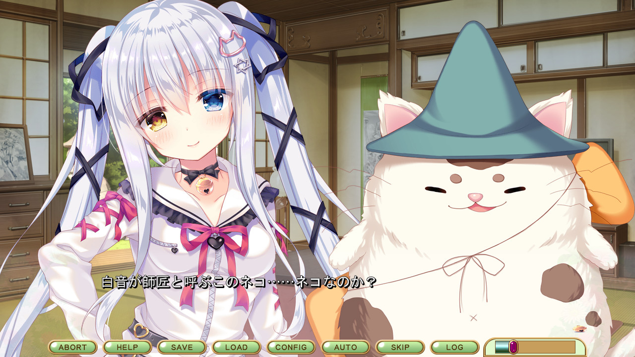 코네코네코네코