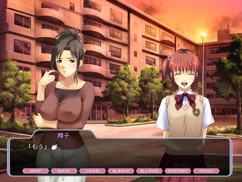 노예 지원 사이트 ~유부녀·쇼코의 기록~