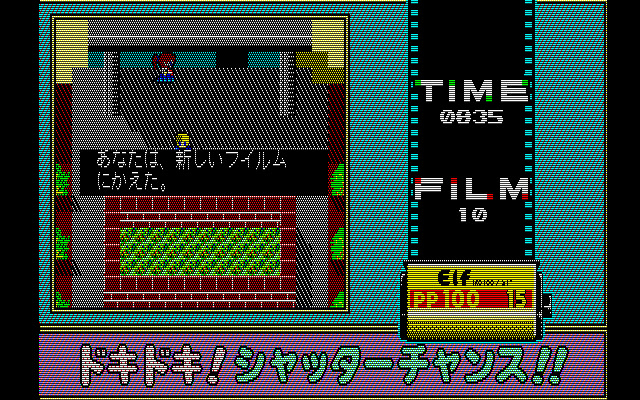 두근두근 셔터 찬스！！