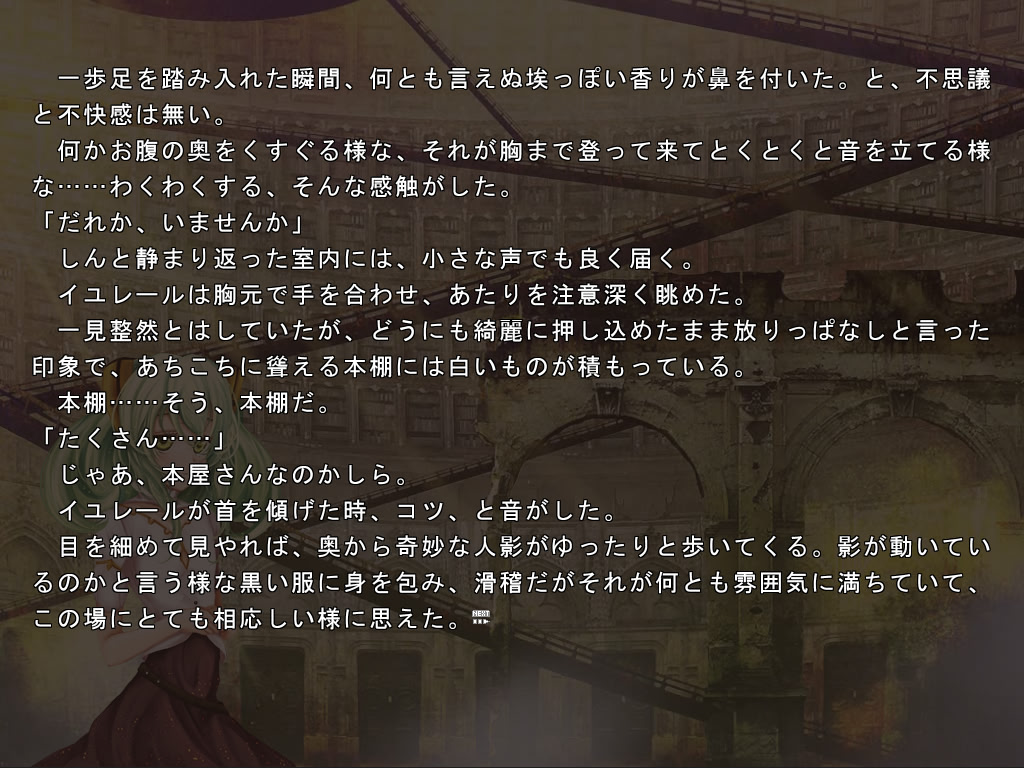 리즈베를의 마 셰라단 편～빛의 빌포나～