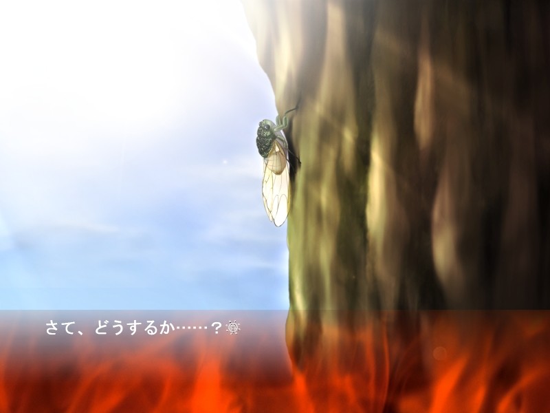 오마에노 나츠야스미