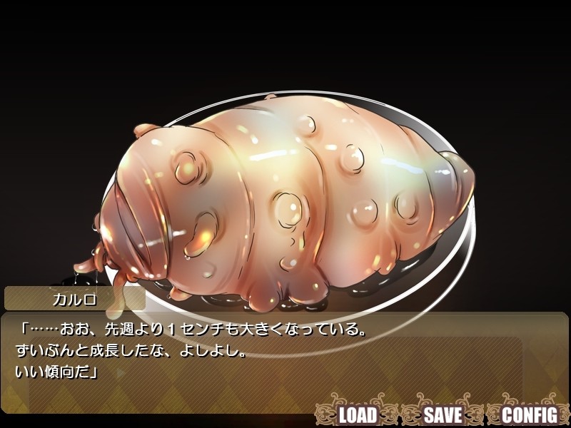 히메기사 카이닌 ～자궁정복계획～