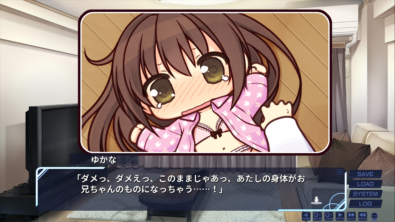 여동생의 세이이키