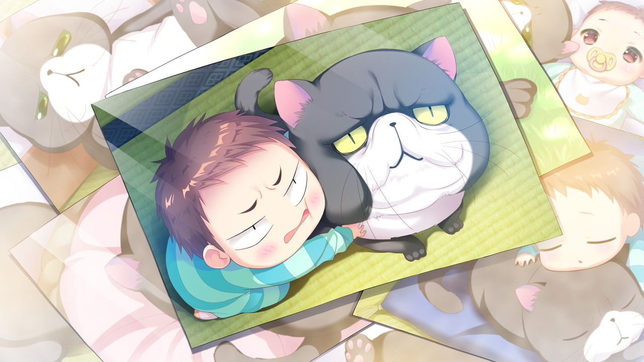 코네코네코네코