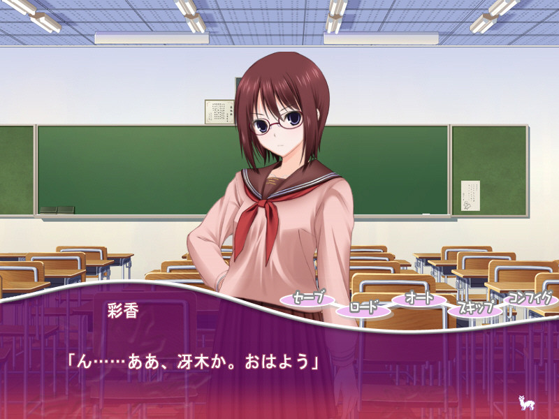 파카플러스마이너스