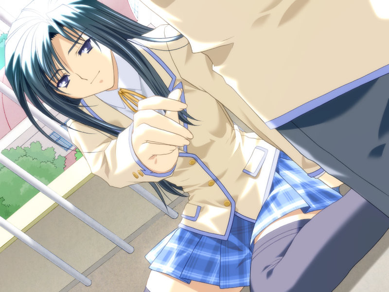 양들의 우울～콘크리트에 비치는 그림자～