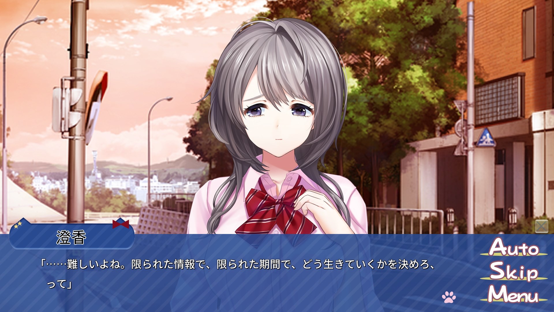 미카가미 스미카의 제복 활동