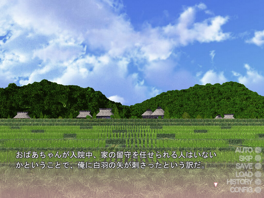 시골에서의 장난