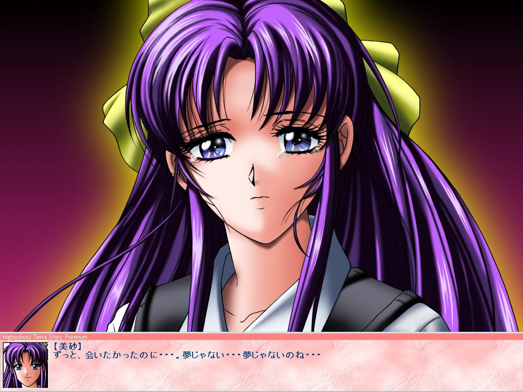 하이 스쿨 테라 스토리
