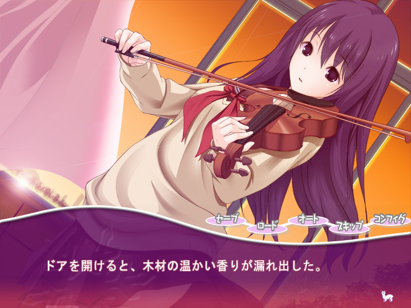 파카플러스마이너스