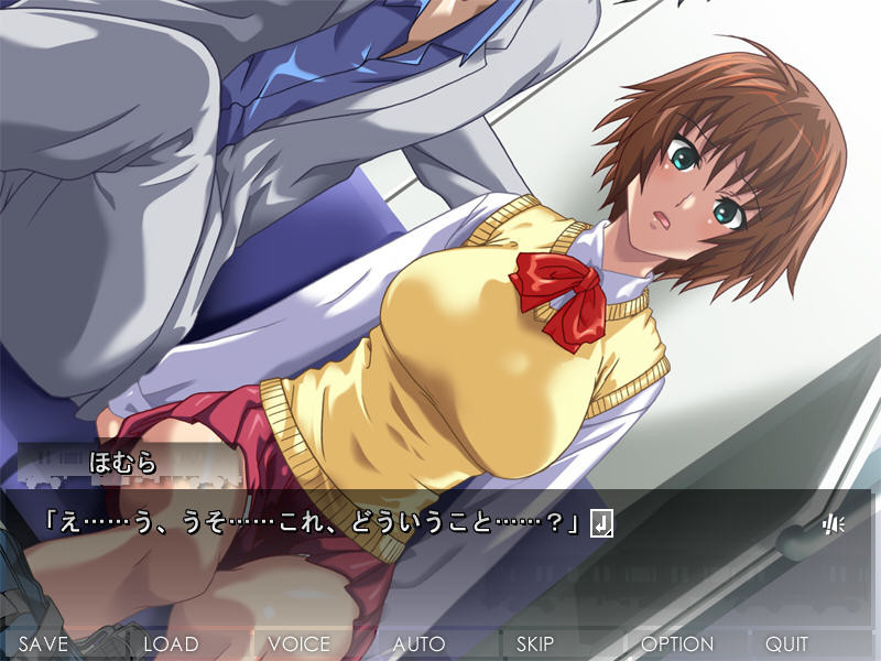 치칸의 라이센스