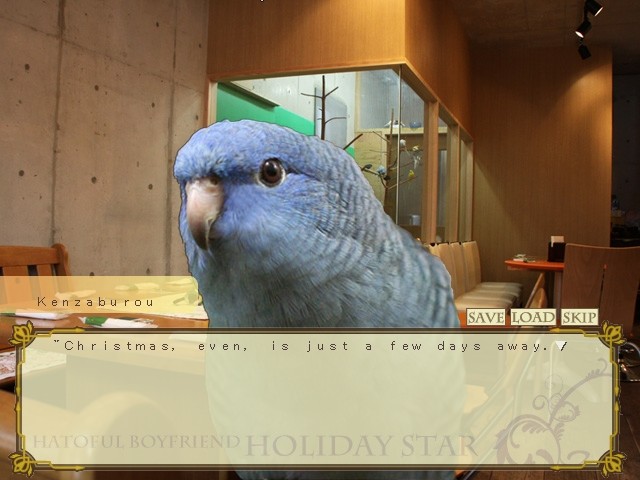 하토풀 카레시 HolidayStar