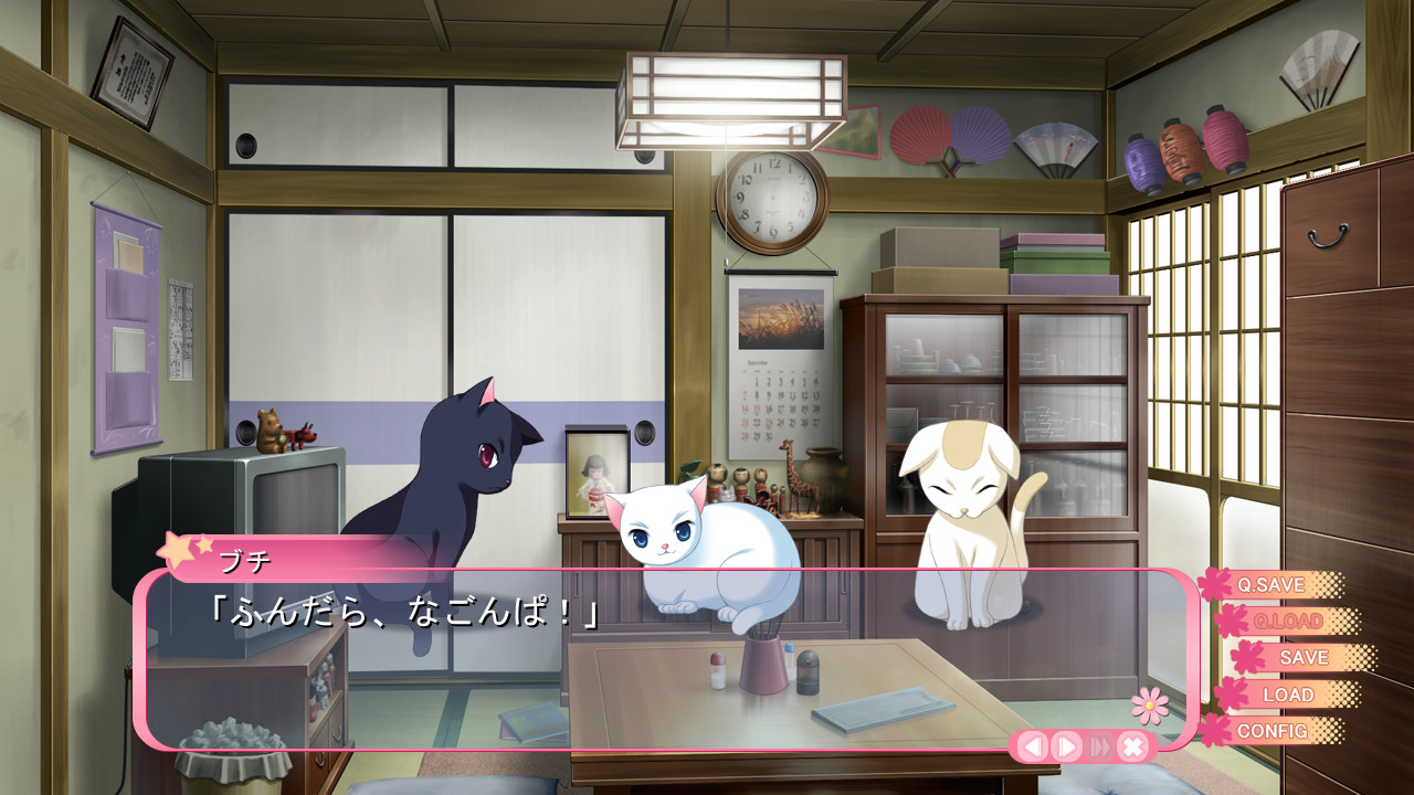 키사라기GOLD★STAR