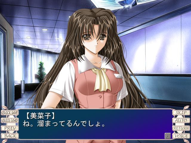 Virgin Bride ～타락한 신부～