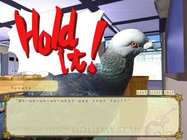 하토풀 카레시 HolidayStar