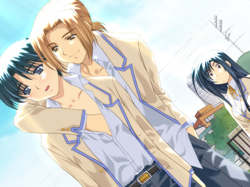 양들의 우울～콘크리트에 비치는 그림자～