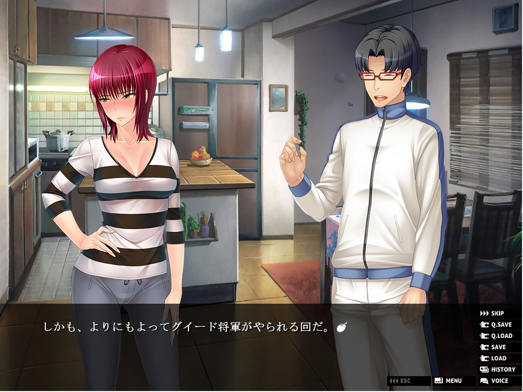 히토즈마 형사는 전직 마법소녀 ～이중 스파이인 내가 세뇌 최면을 반복해 NTR로 타락시킨다～