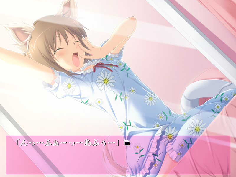 아이돌 유키호의 강아지 패닉!