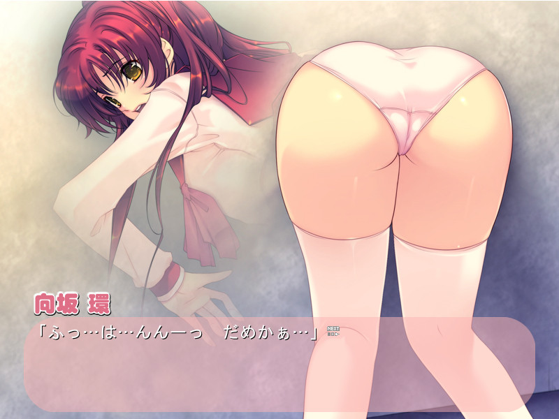 벽의 타마 범지 않겠습니까? -타마 언니 못 참겠어-