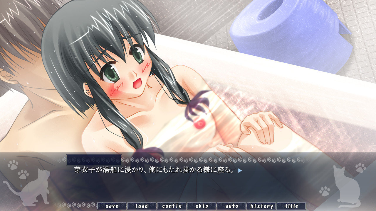 아마요의 길 잃은 고양이