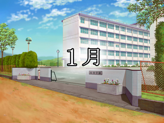 메이플 컬러즈 H