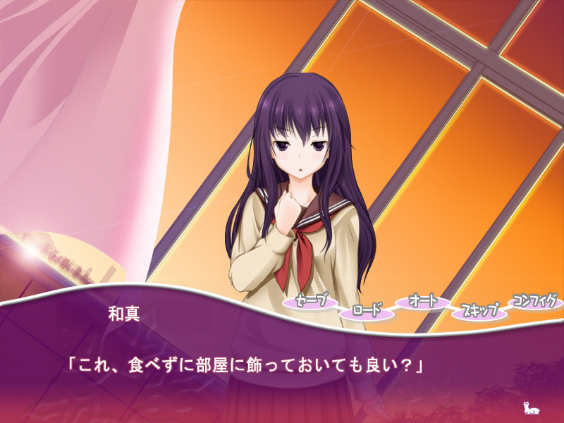 파카플러스마이너스