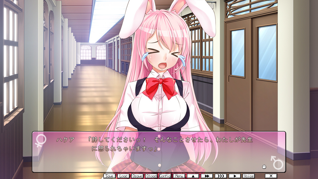 마타니티 몬스터즈! ～토끼 귀 위원장과 맑고 올바른 육체관계!～