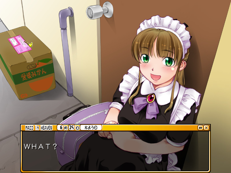 MAID iN HEAVEN ～사랑이라는 이름의 욕망～