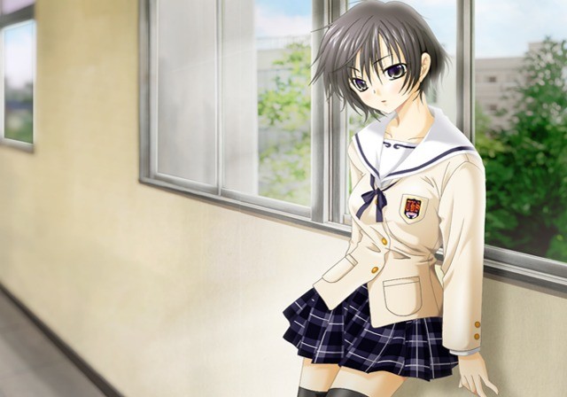 세파레이트 하츠