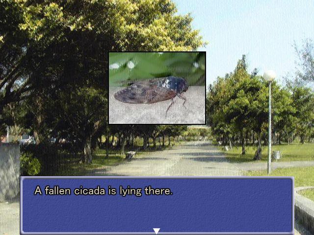 여름, 매미, 소녀