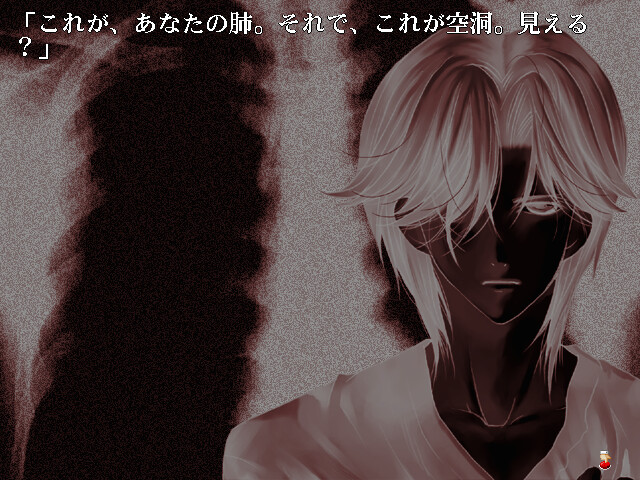 괴도 아프리콧 외전 만편