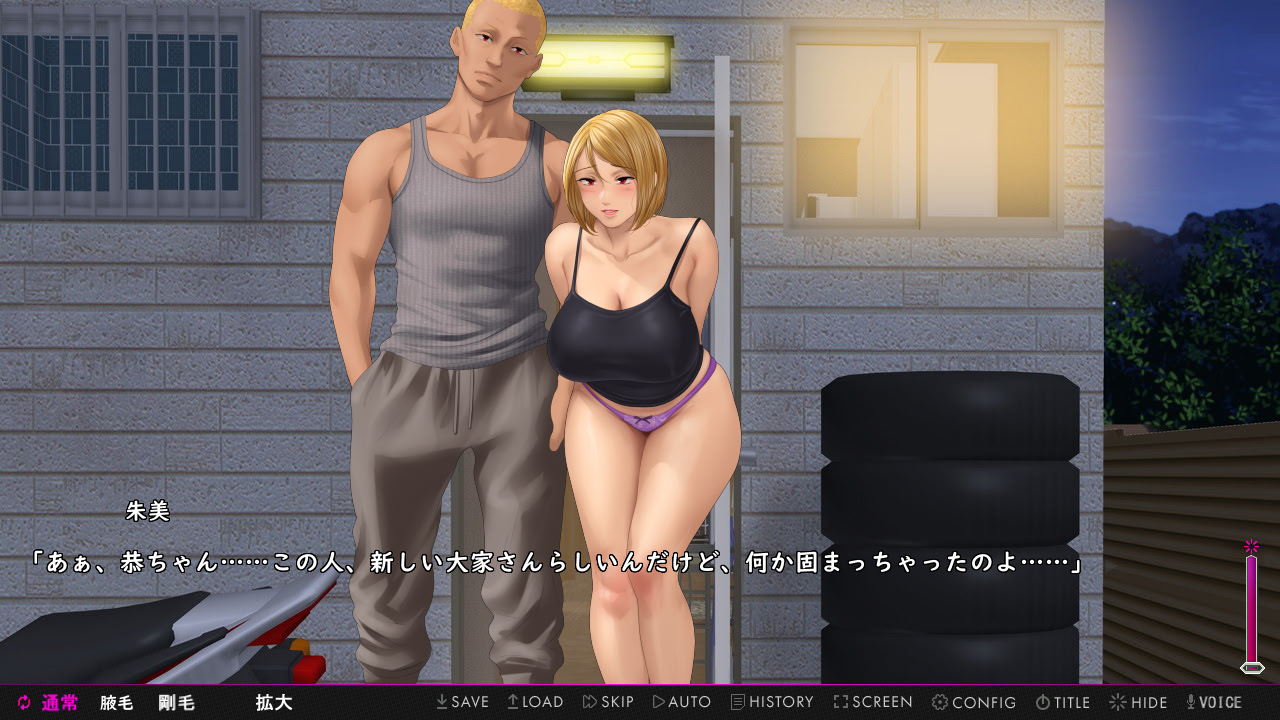 한낮의 낡은 아파트와 유부녀들 〜폐쇄 공간에서 미쳐 타락해가는〜