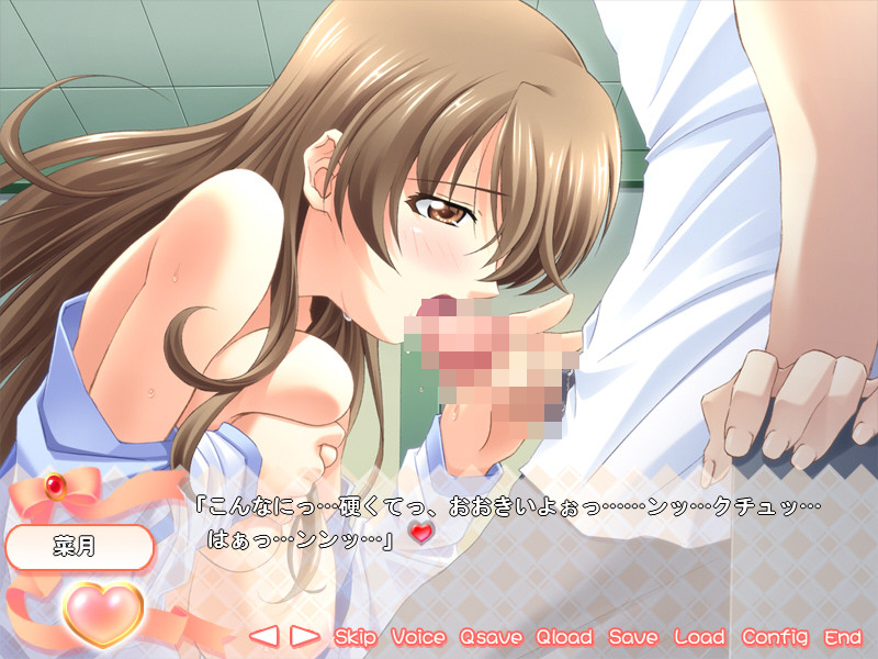 도키도키 시스타 파라다이스 2