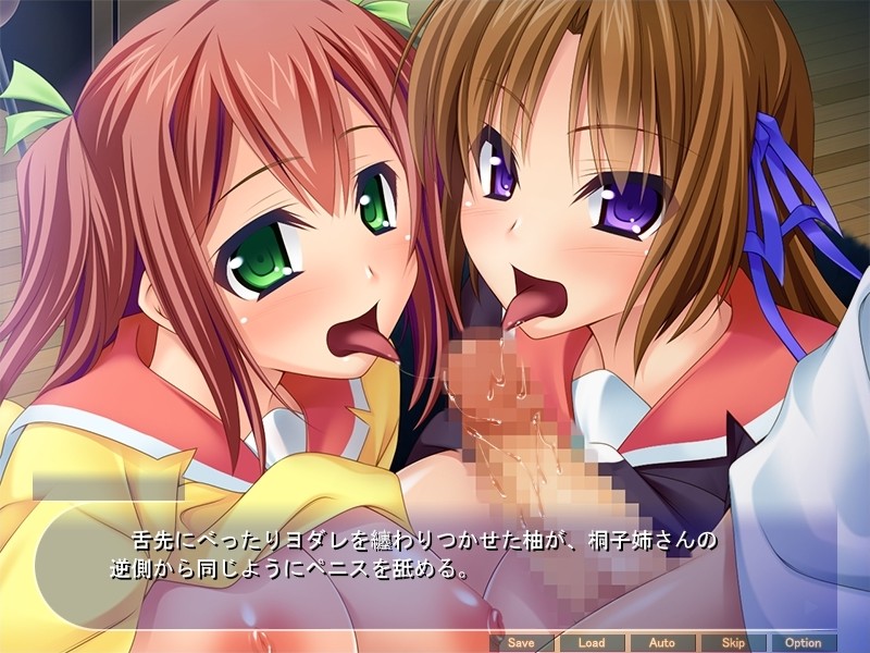 네토리 자매 일지 ～정말 좋아하는 그의 친구 키모오에게 네토리되어 임신～