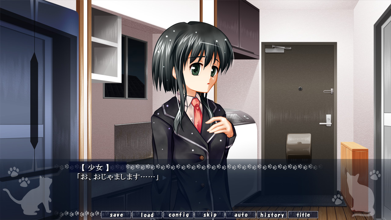 아마요의 길 잃은 고양이