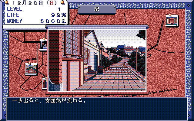 껍데기 속의 작은 새