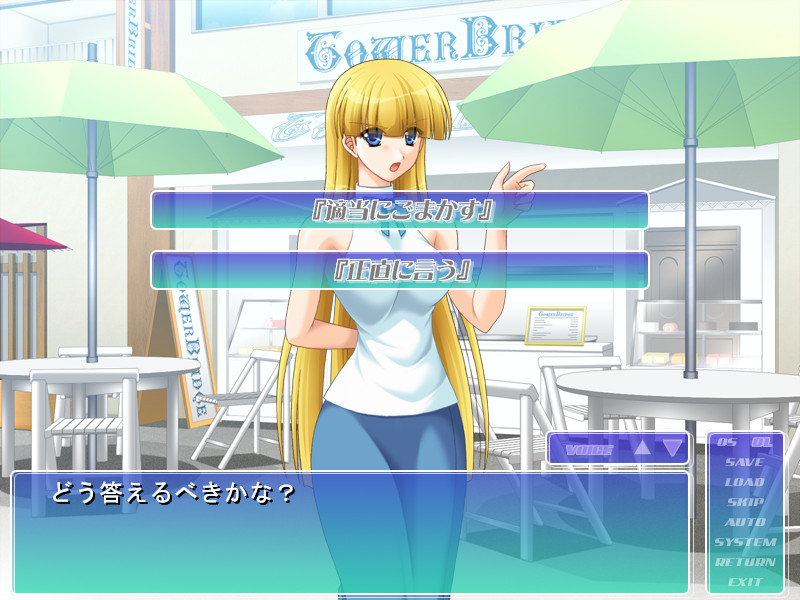 하렘★아일랜드 ～남1＜여7인 여름 이야기 테마파크는 대소동～