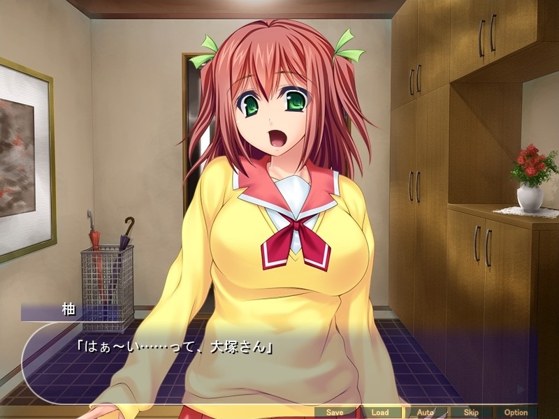 네토리 자매 일지 ～정말 좋아하는 그의 친구 키모오에게 네토리되어 임신～