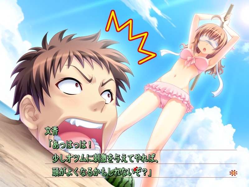 히나타 테라스 〜We don't abandon you.〜