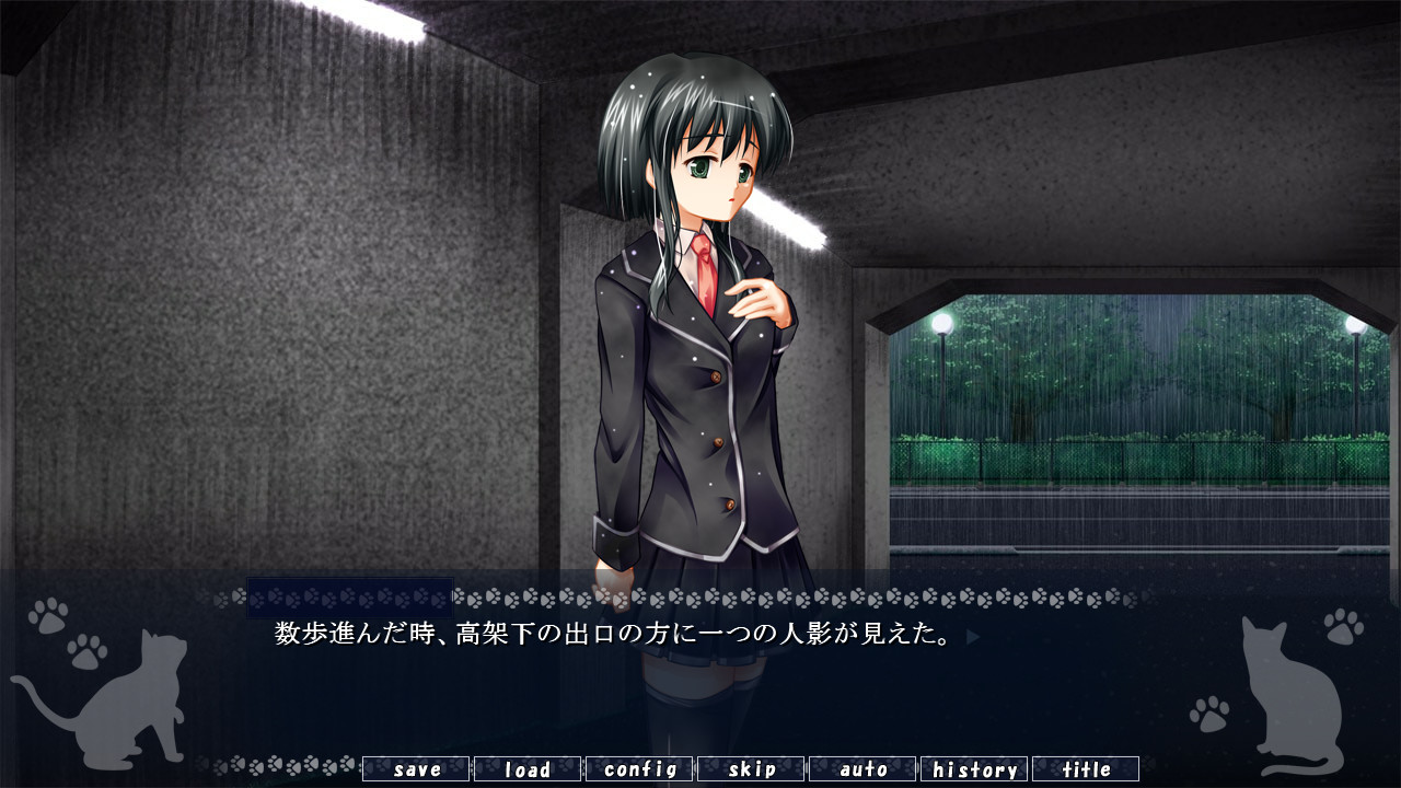 아마요의 길 잃은 고양이