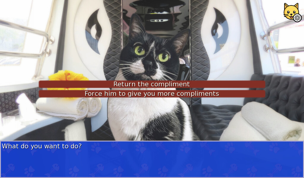 Cat President 2: Purrlitical Revolution