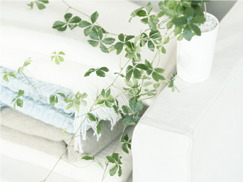 파라다이스 로스트